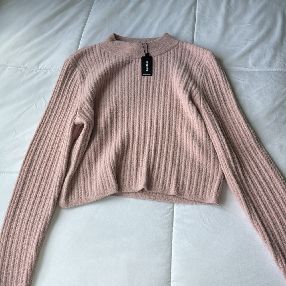 NWT Express Pink Sweater